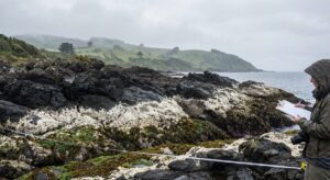 Costa Chiloé línea algas alzamiento costero